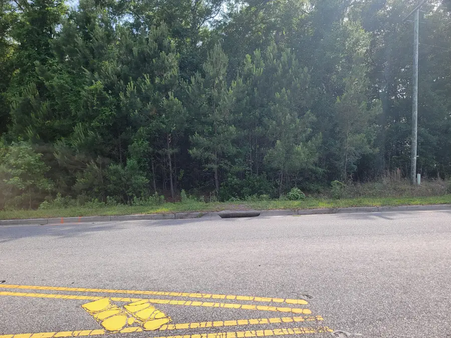 0000 Hamlin Road, Mount Pleasant, SC 29466 - #3