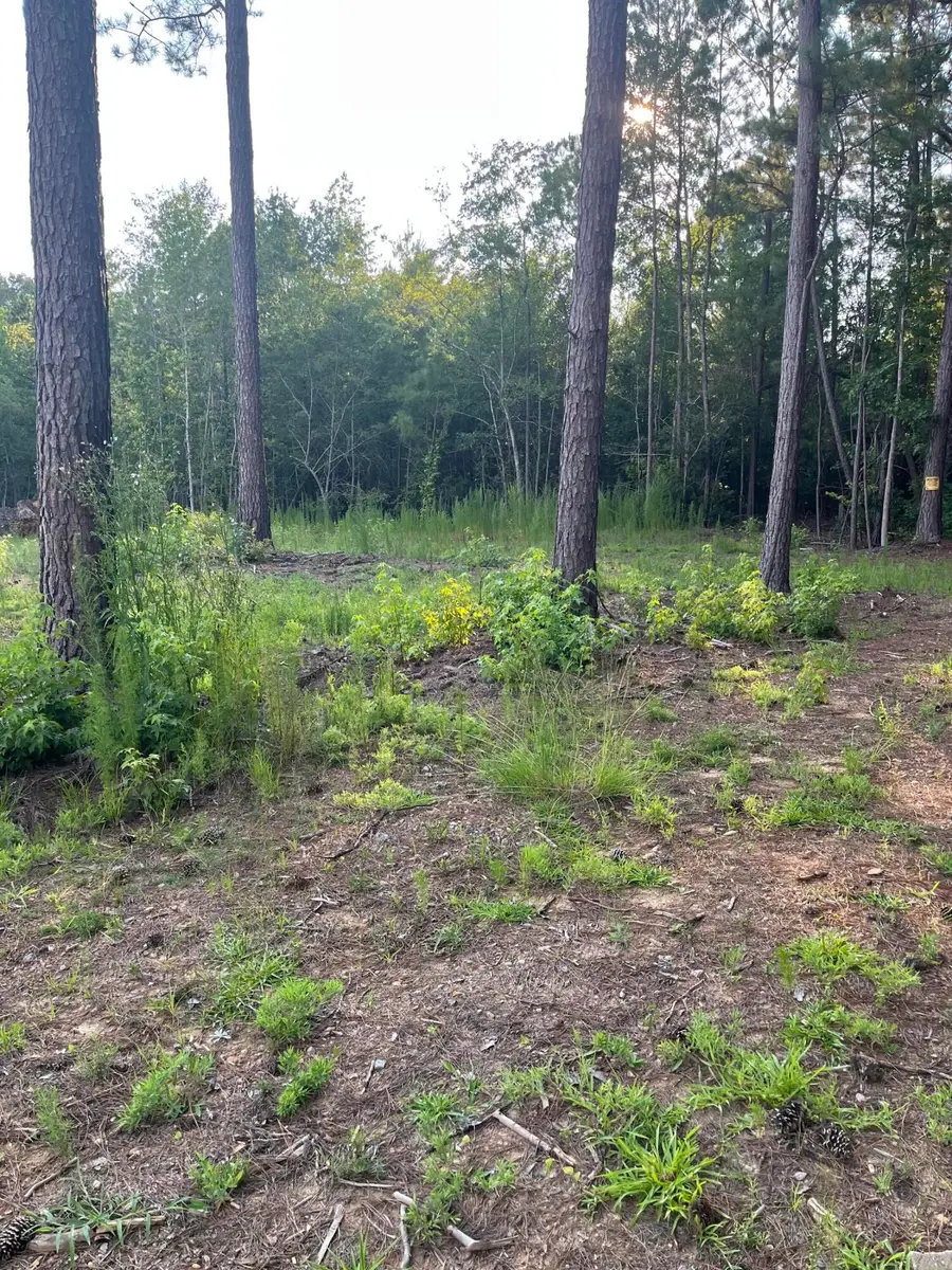 3171 Queens Way, Orangeburg, SC 29118 - #2