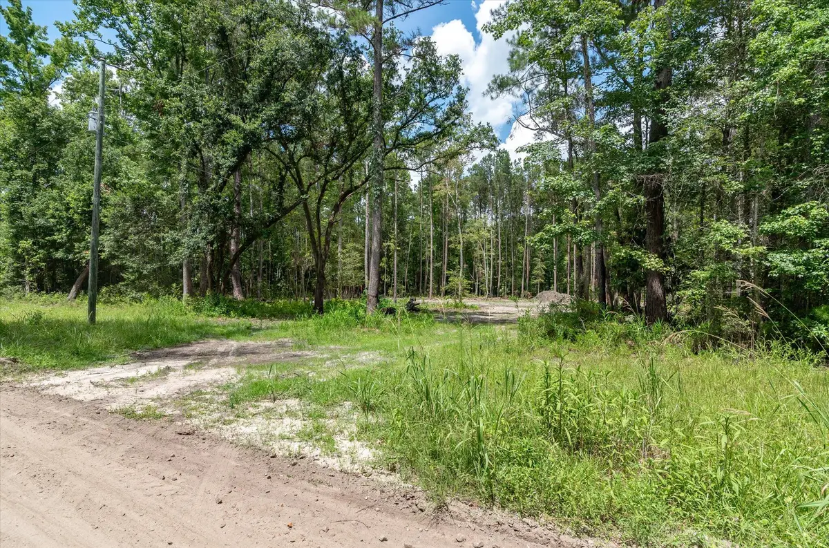 98 Manatee Lane, Green Pond, SC 29446 - Image #1