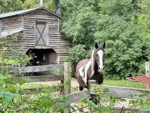 781 Clydeville Lane, Cottageville, SC 29435 - Image #1