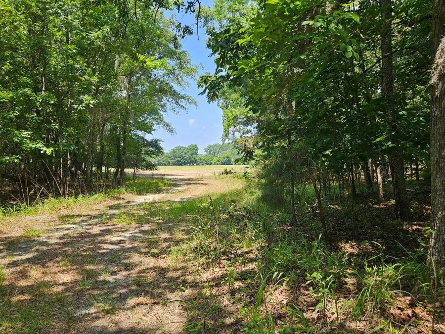 Lot 2A M W Rickenbaker Road, Summerton, SC 29148 - #2
