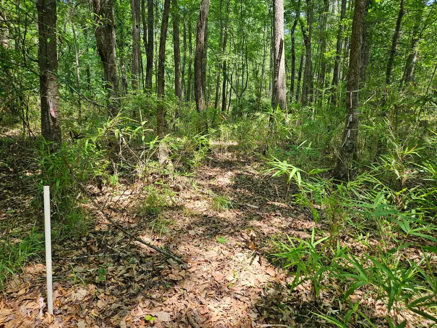 Lot 2A M W Rickenbaker Road, Summerton, SC 29148 - #3
