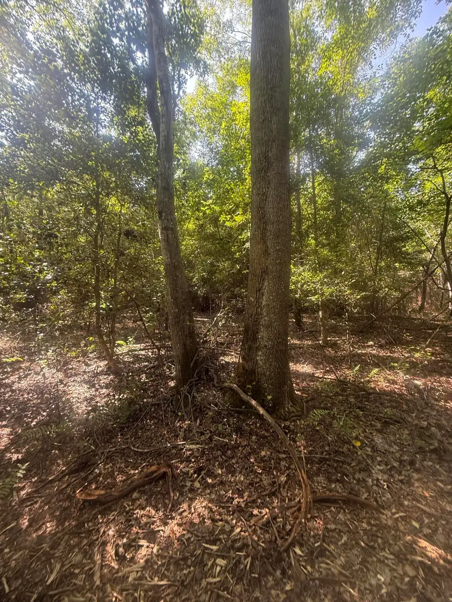 Hhf 2 Old Georgetown Road W #Hhf 2, Westville, SC 29175 - Image #2