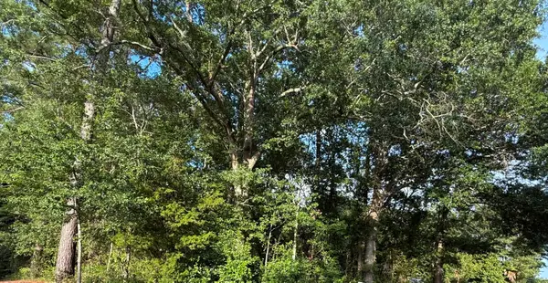 0 Hidden Drive, Orangeburg, SC 29115