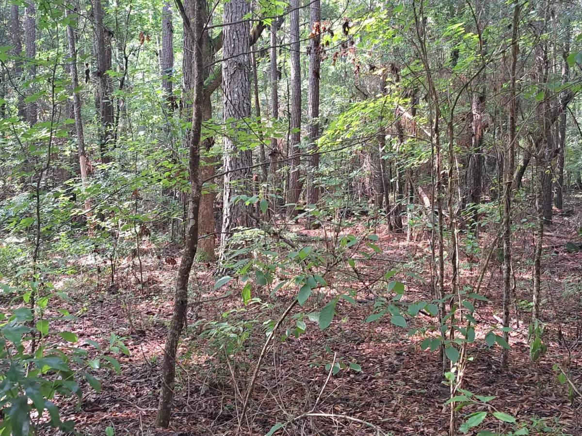 01 Foreever Eclipse Ln, Cross, SC 29436 - #1