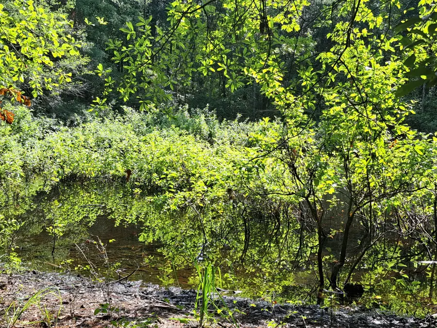 01 Foreever Eclipse Ln, Cross, SC 29436 - #2