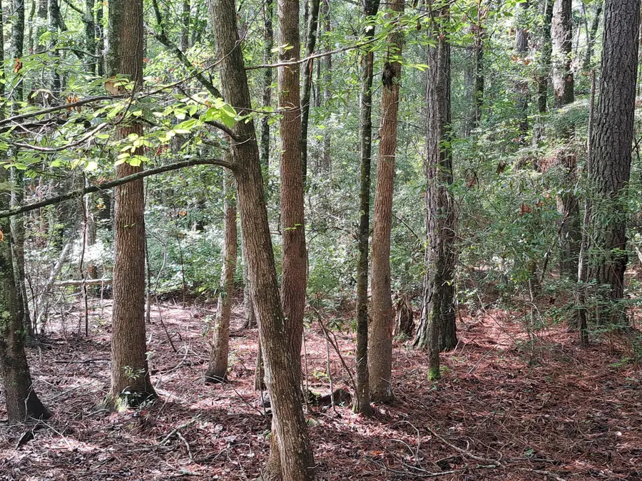 01 Foreever Eclipse Ln, Cross, SC 29436 - #3