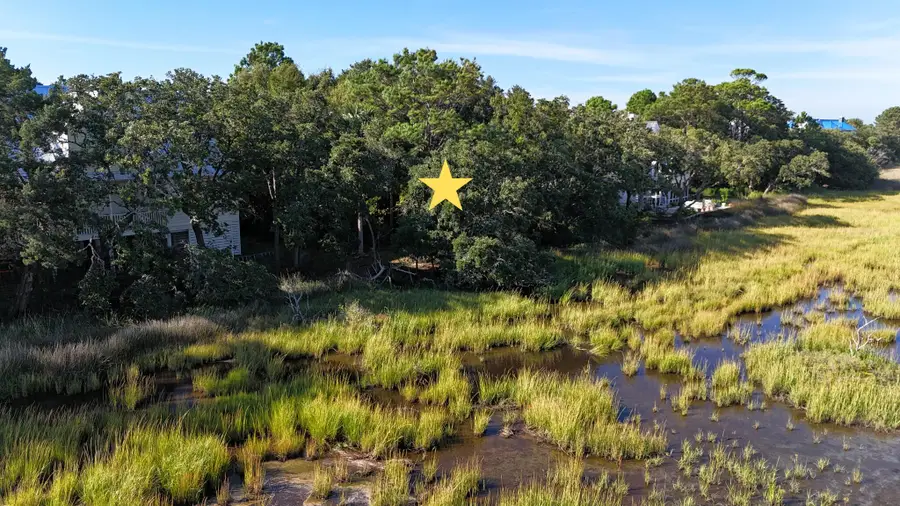 3 Seagrass Lane, Isle Of Palms, SC 29451 - #2
