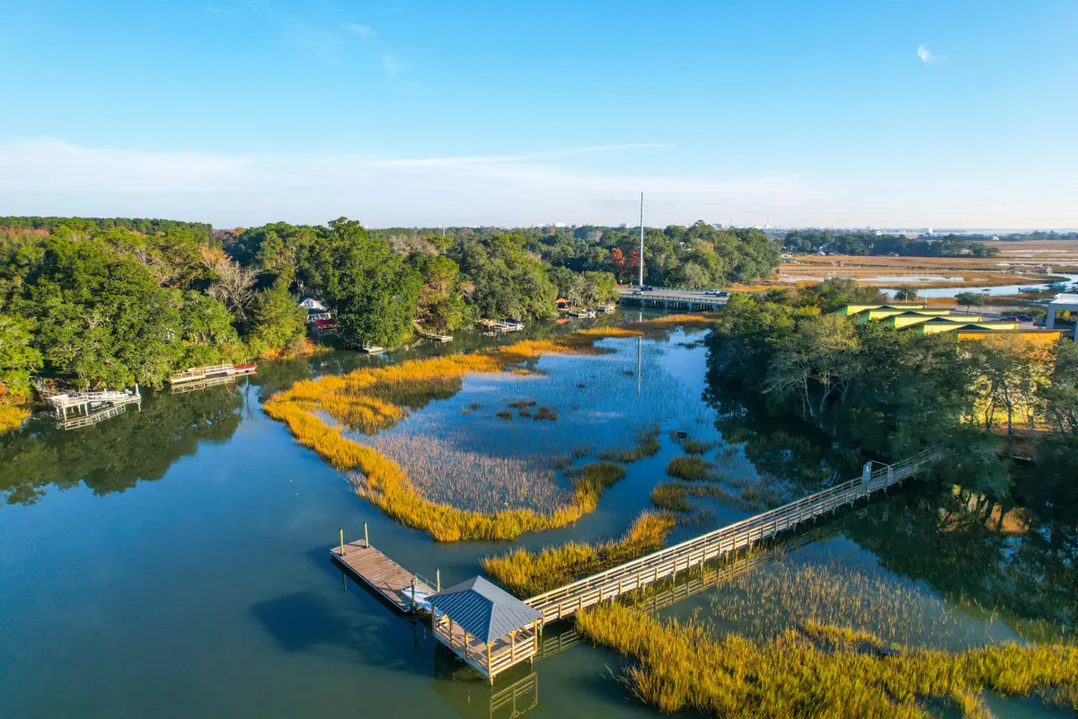 826 Curved Creek Court, Charleston, SC 29412 - #1