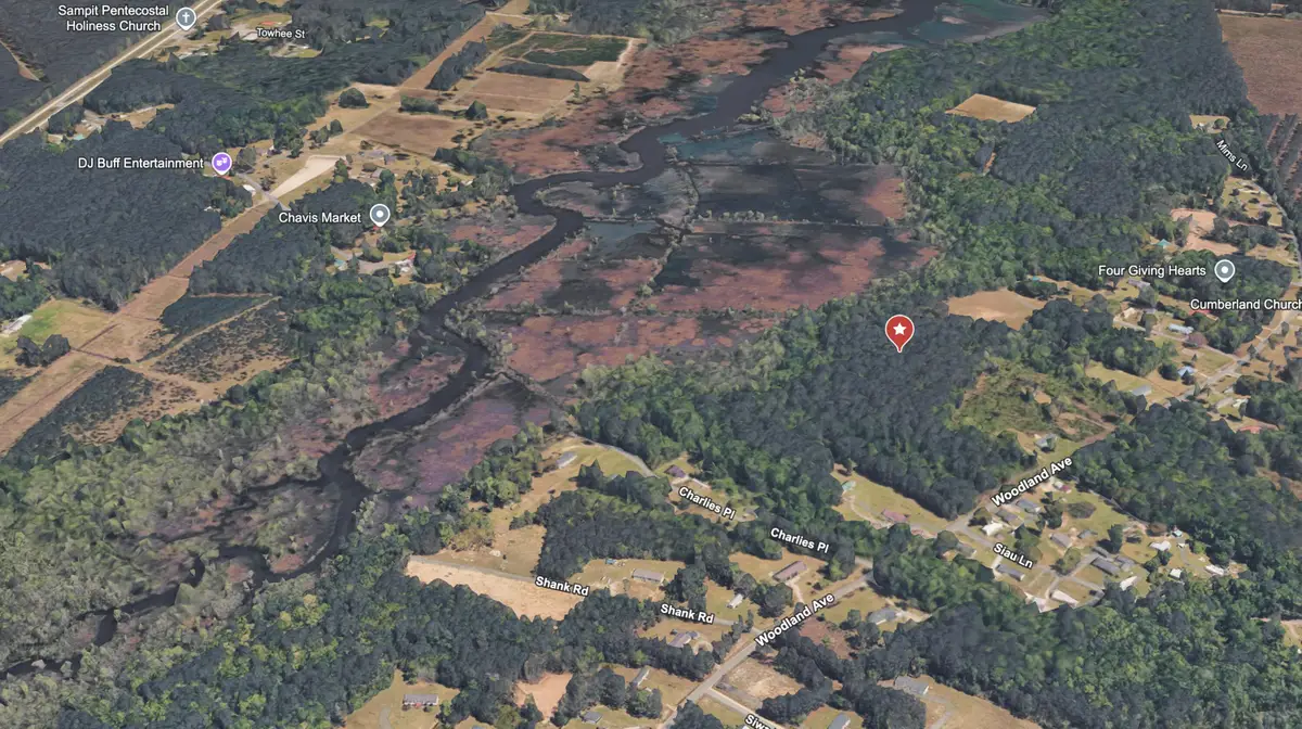 0 Righthand Court, Georgetown, SC 29440 - #1
