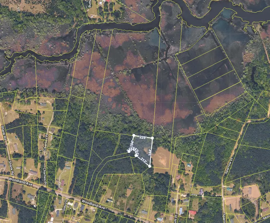 0 Righthand Court, Georgetown, SC 29440 - #2