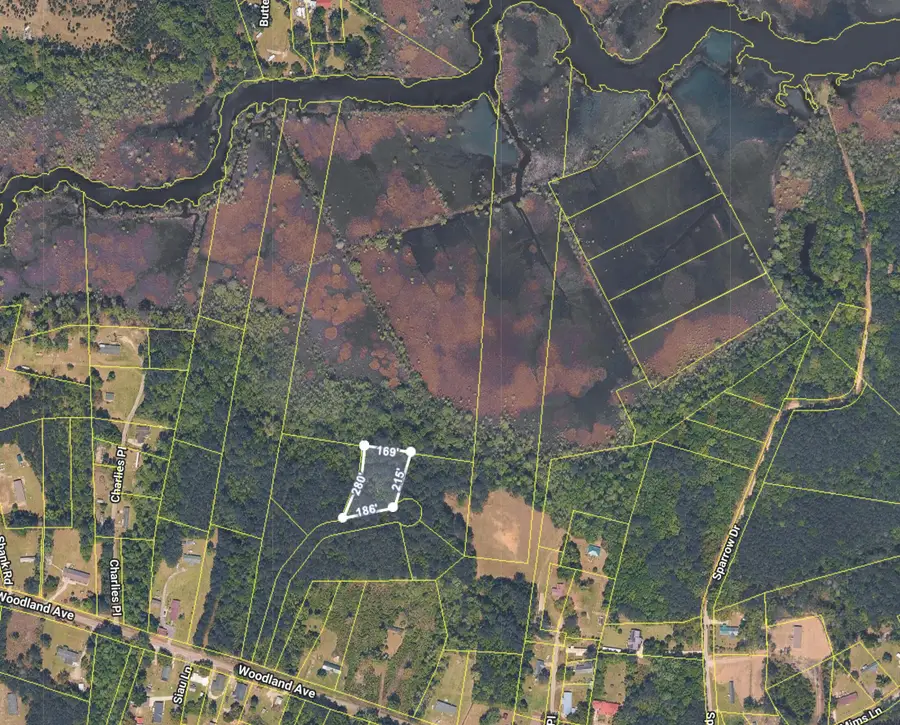 0 Righthand Court, Georgetown, SC 29440 - #3