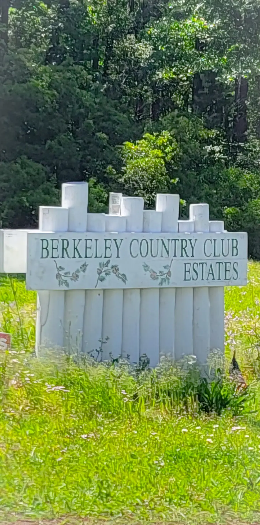 0 Singletary Avenue, Moncks Corner, SC 29461 - Image #2