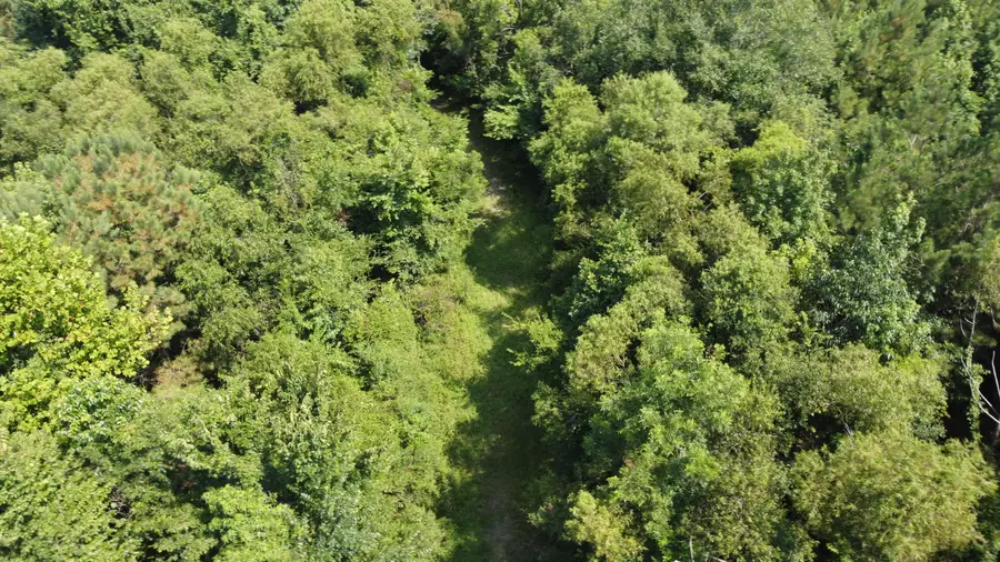 0 Rudd Road, Ridgeville, SC 29472 - #2