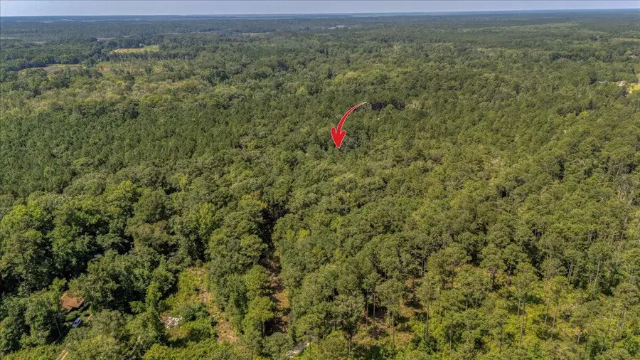 7799 Morris Bing Road, Hollywood, SC 29449 - Image #2