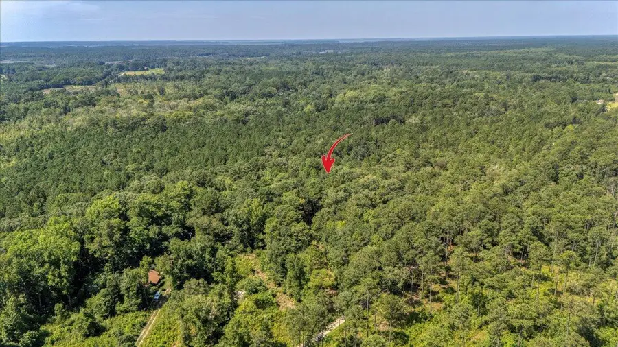 7799 Morris Bing Road, Hollywood, SC 29449 - Image #3