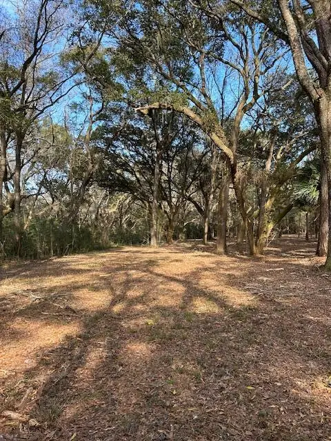 57 Seaside Road, Edisto Island, SC 29438 - #2