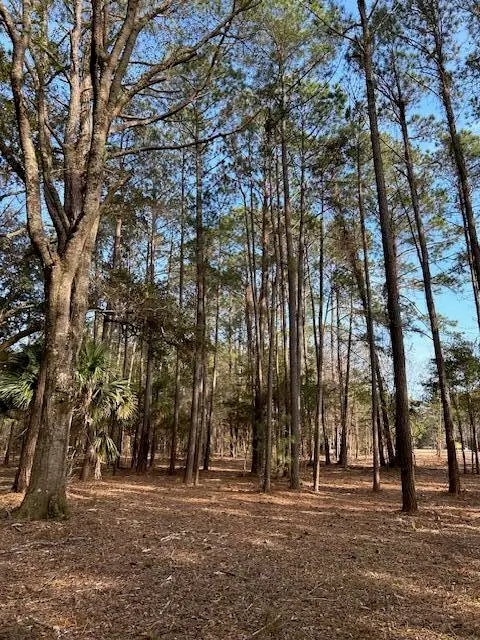 57 Seaside Road, Edisto Island, SC 29438 - #3