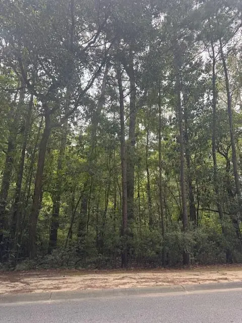 915 Lincolnville Avenue, Lincolnville, SC 29485 - Image #1