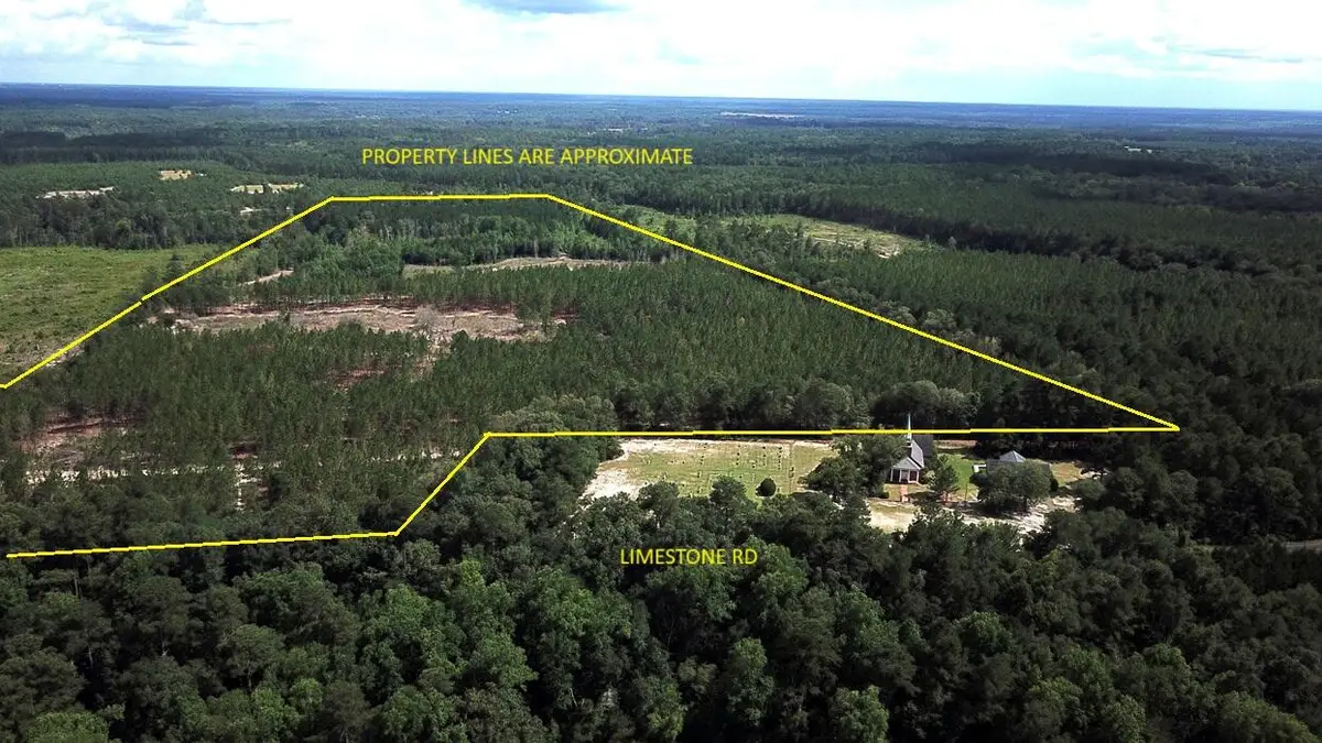00 Limestone Road, Orangeburg, SC 29118 - #1