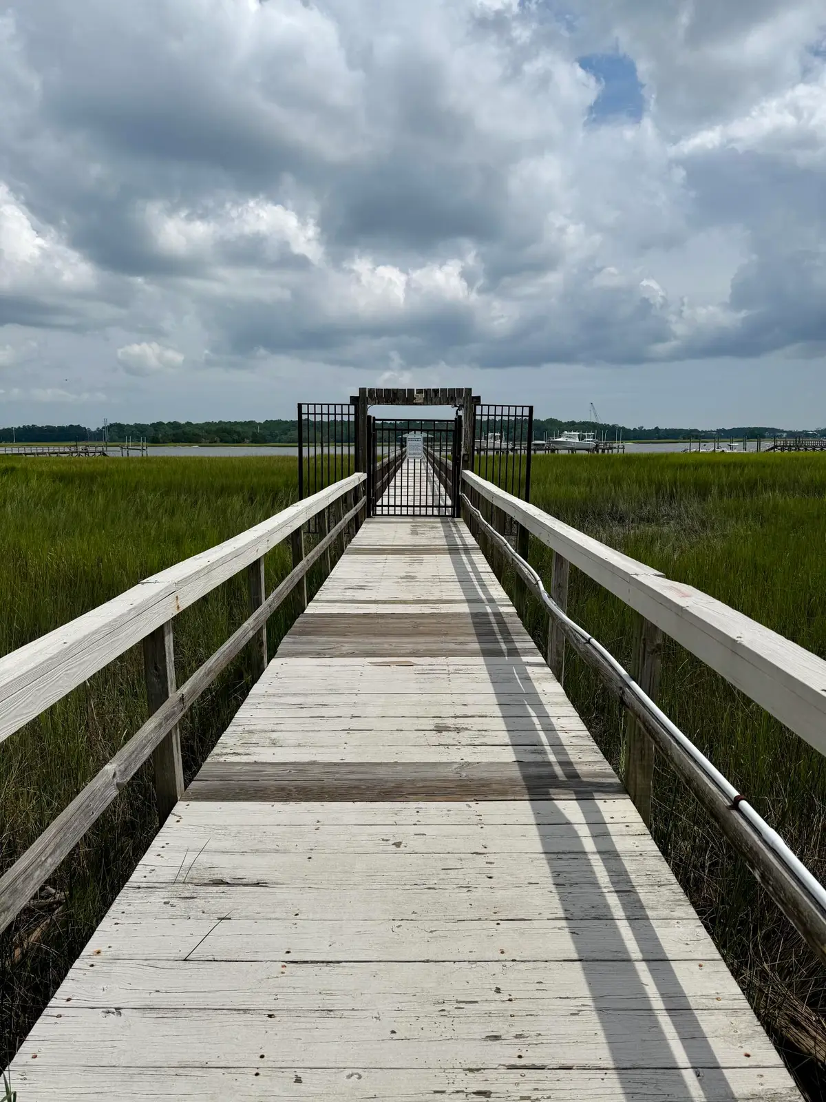 117 Wando Reach Road, Wando, SC 29492 - Image #1