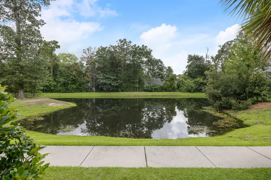 2426 Lilytree Drive, Charleston, SC 29414 - Image #3