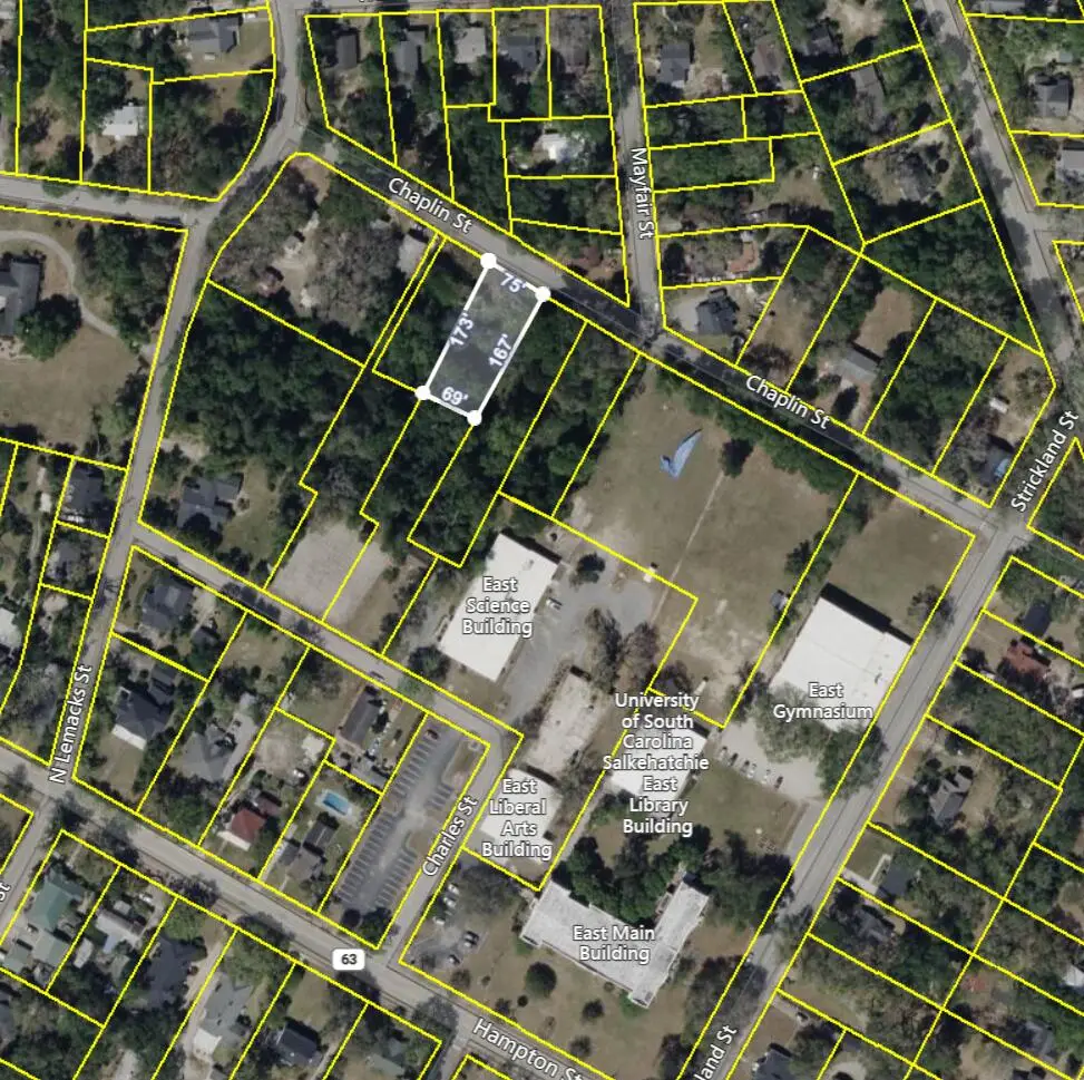 306 Chaplin Street, Walterboro, SC 29488 - Image #1