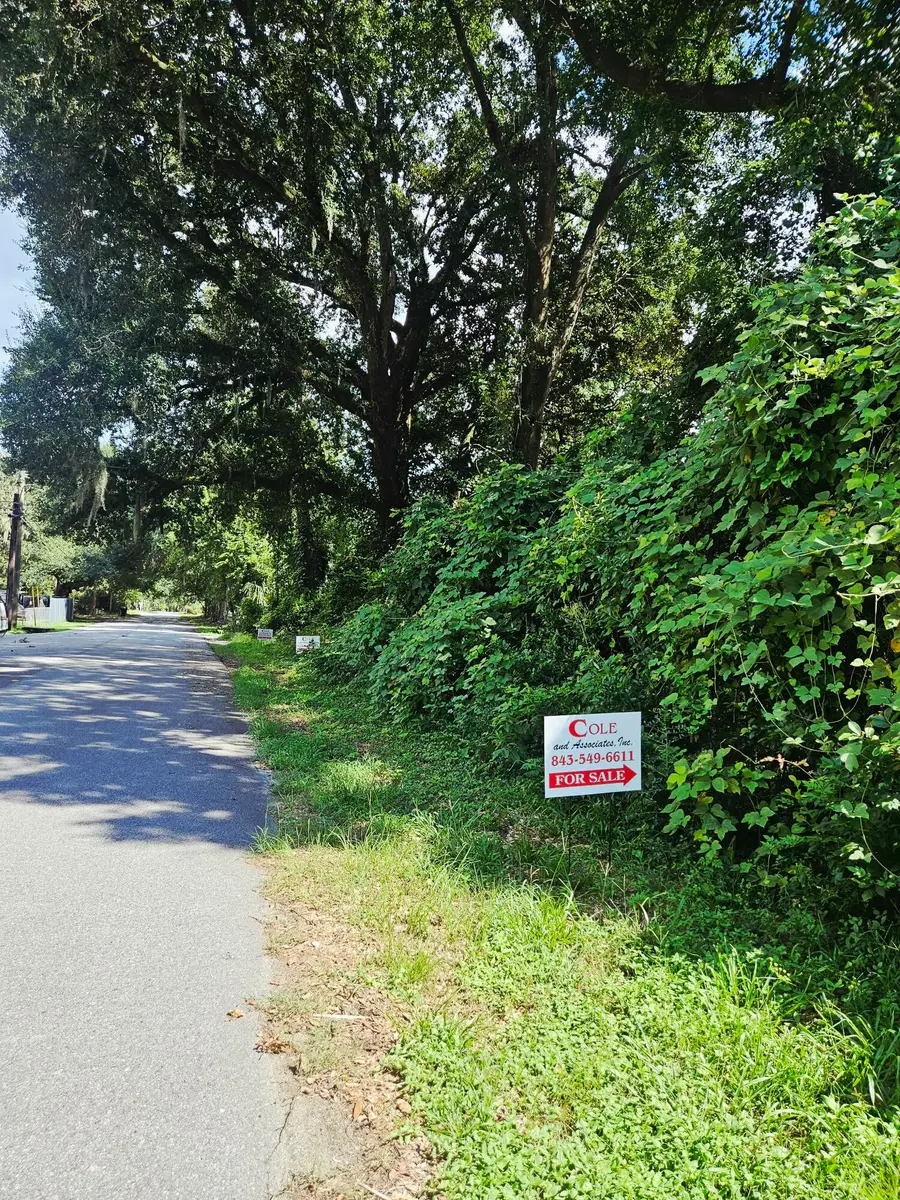 306 Chaplin Street, Walterboro, SC 29488 - Image #2