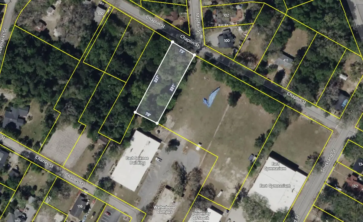 0 Chaplin Street, Walterboro, SC 29488 - Image #1