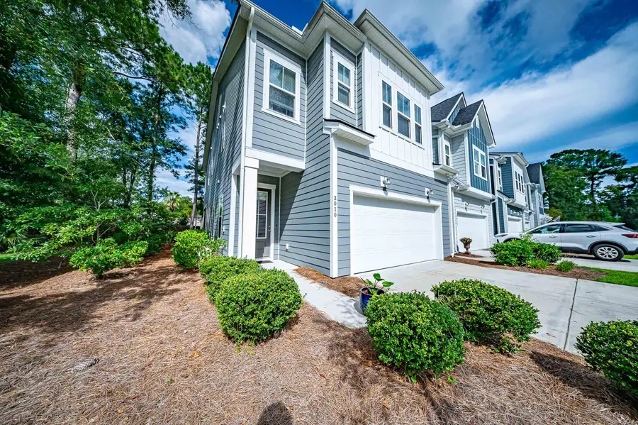 3010 Emma Lane, Mount Pleasant, SC 29466 - Image #3