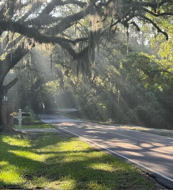 318 Mcclellan Avenue, McClellanville, SC 29458 - Image #2