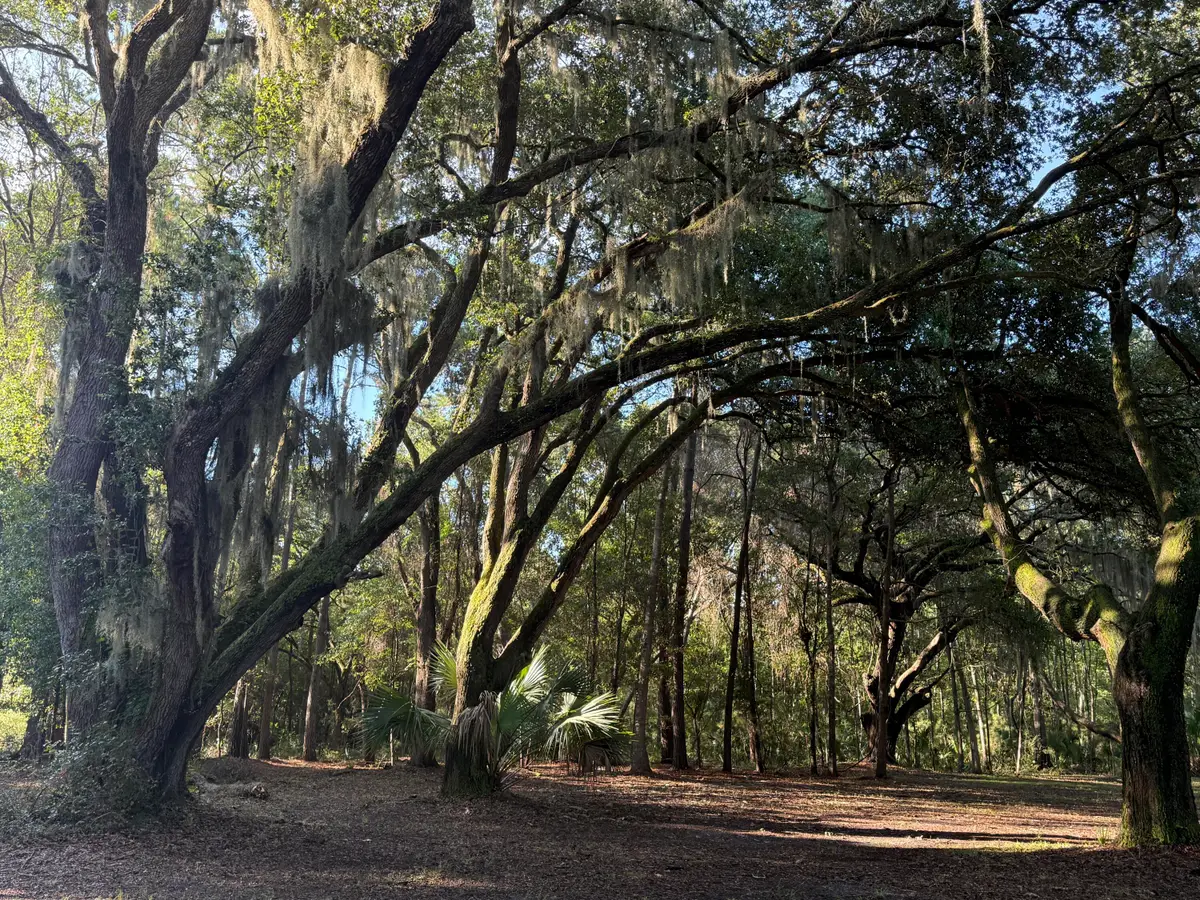 7939 Legare Road, Edisto Island, SC 29438 - #1