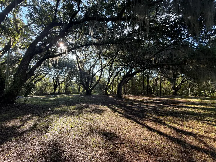 7939 Legare Road, Edisto Island, SC 29438 - #2