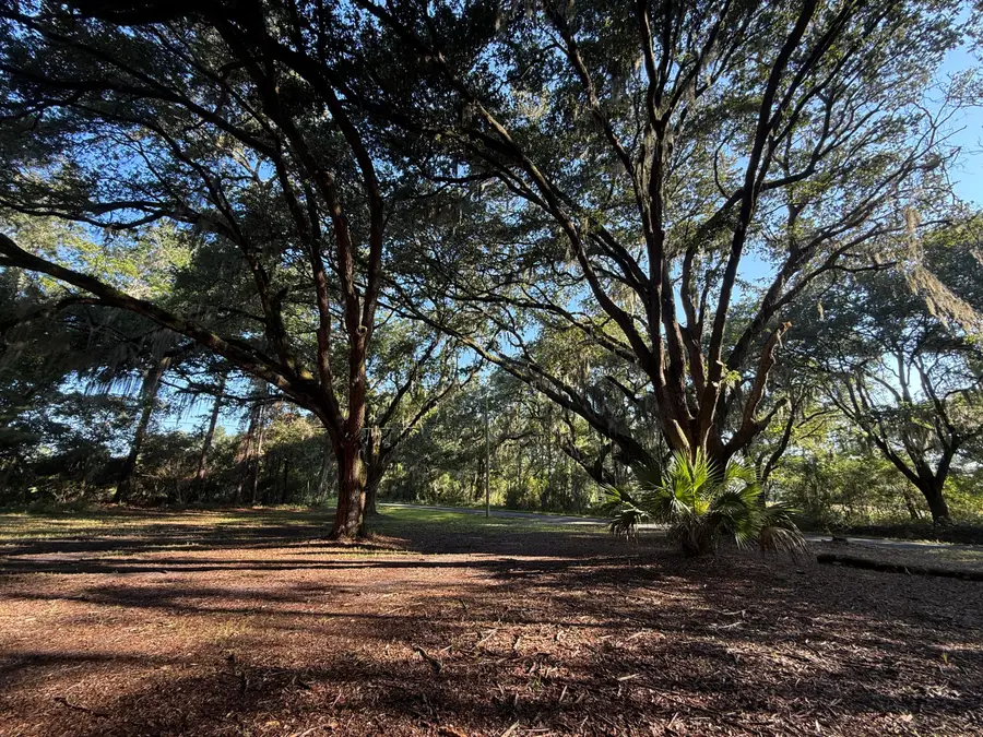 7939 Legare Road, Edisto Island, SC 29438 - #3