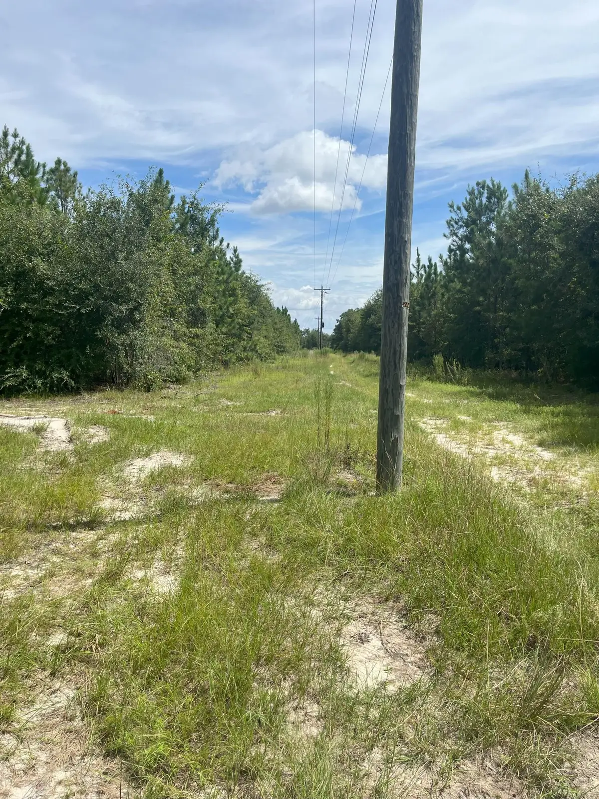 Ppf 9 Payne Pond Road #Ppf 9, Westville, SC 29175 - Image #1