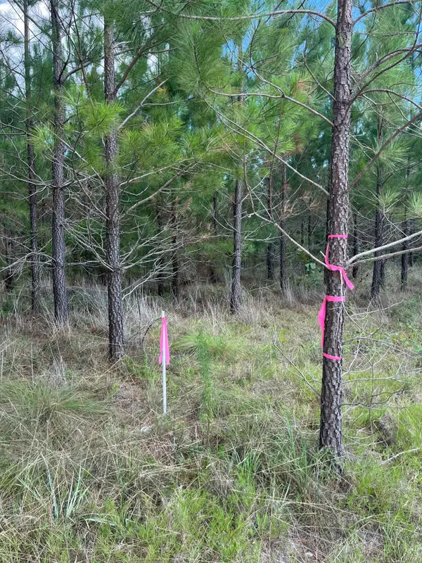 Bff 4 Brunson Teal Road #Bff 4, Patrick, SC 29584