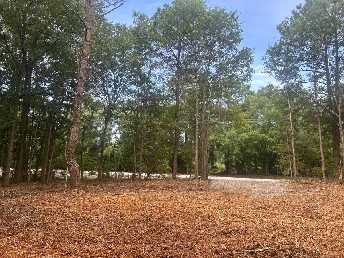 2 Francis Marion Boulevard, Summerton, SC 29148 - #1