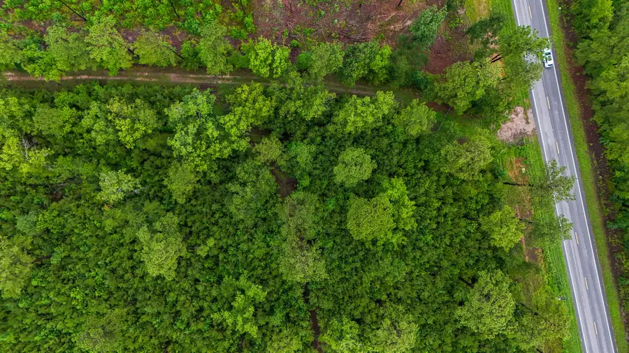 1035 Sc-61, Ridgeville, SC 29472 - #2