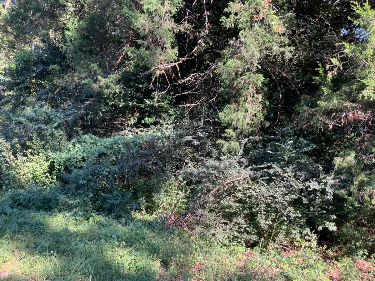 123 Dawsey Street, Cordova, SC 29039 - Image #1