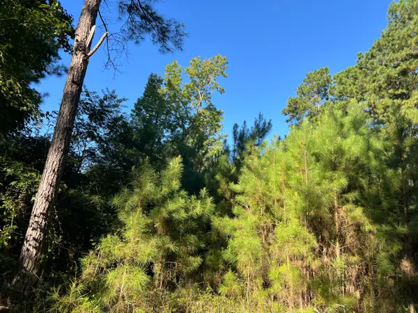 1060 Quail Path, Santee, SC 29142