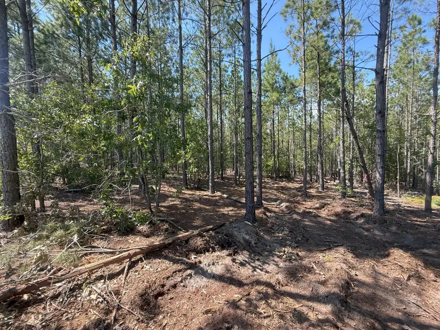 Kf 4 Keys Lane #Kf 4, Westville, SC 29175 - Image #3