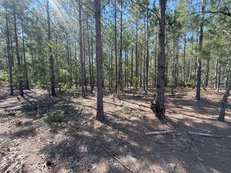 Kf 6 Providence Road #Kf 6, Westville, SC 29175 - Image #2