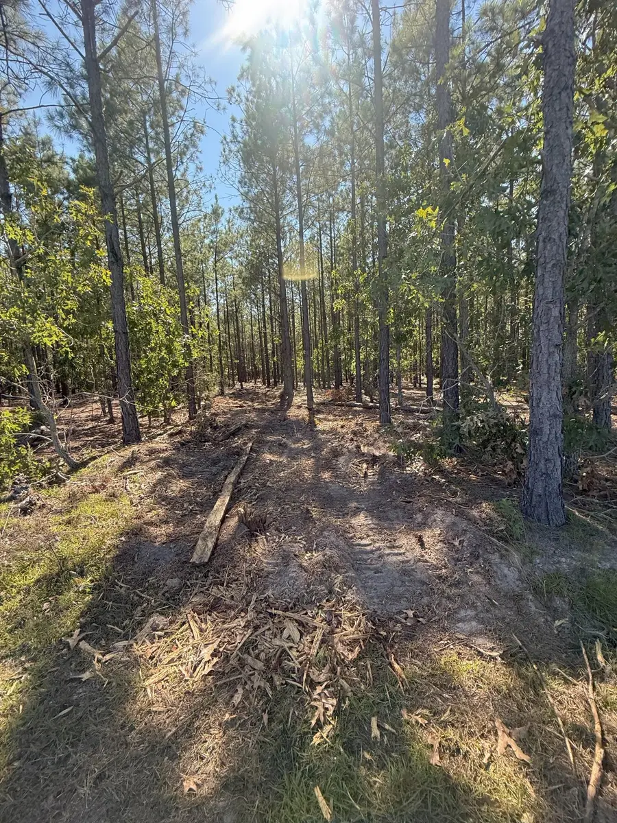 Kf 9 Providence Road #Kf 9, Westville, SC 29175 - #3