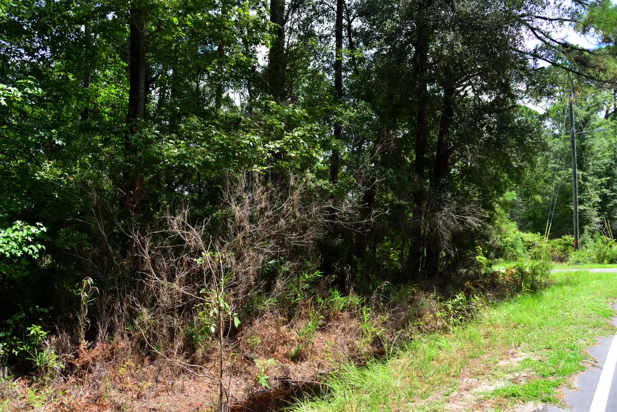 0 Cherry Hill Road, Hollywood, SC 29449 - #1