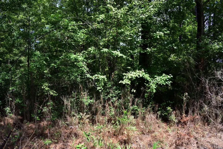 0 Cherry Hill Road, Hollywood, SC 29449 - #2