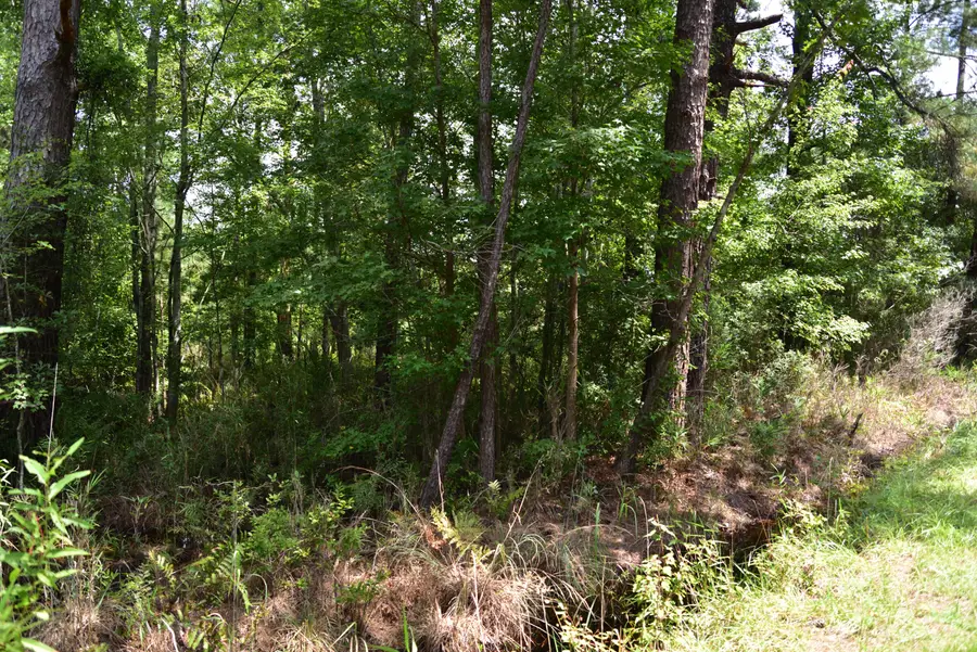 0 Cherry Hill Road, Hollywood, SC 29449 - #3