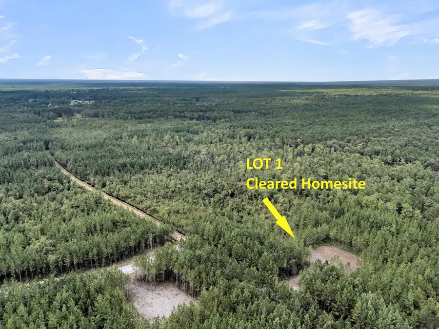 2038 Silas Road, McClellanville, SC 29458 - Image #3