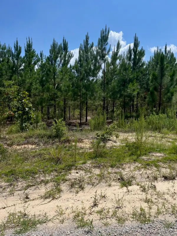 Bff 1c Brunson Teal Road #Bff 1c, Patrick, SC 29584