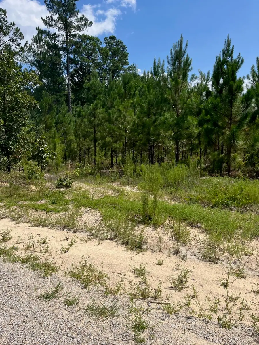 Bff 1c Brunson Teal Road #Bff 1c, Patrick, SC 29584 - Image #3