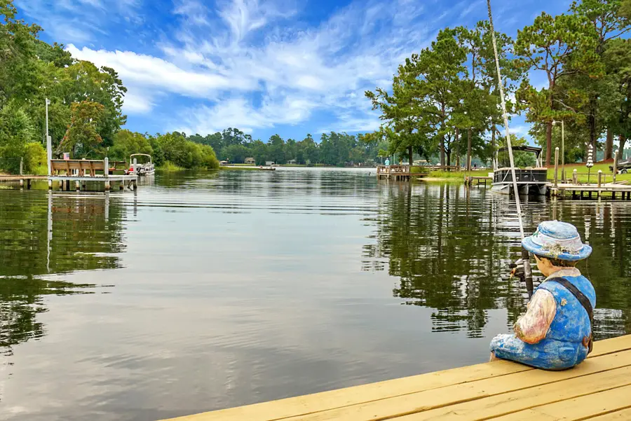 1390 Nightfall Lane, Summerton, SC 29148 - Image #3